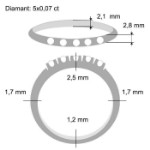 Alliansering med klare steiner - 8505070