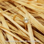 Enstens diamantring Diona 14 kt gull med 0,20 ct TW-Si.Magic Moments -18001020