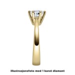 Enstens diamantring Diona 14 kt gull med 0,20 ct TW-Si.Magic Moments -18001020