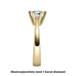 Diamantring forlovelsesring 0,25 ct i 14kt gull. Diona - 18001025