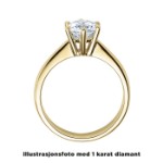 Diamantring forlovelsesring 0,25 ct i 14kt gull. Diona - 18001025