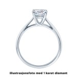 Enstens diamantring Alida 14 kt gull med 0,70 ct TW-Si.Magic Moments -18002070