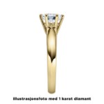 Enstens diamantring Violetta 14 kt gull med 0,70 ct TW-Si.Magic Moments -18003070