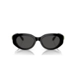 Swarovski solbriller Cat-eye shape, SK6002, Black - 5679544