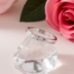 Iselin alliansering 585 / 14 karat hvitt gull med 0.05 ct. TW-Si - 8503070