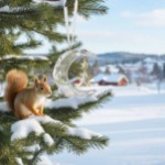 Swarovski figurer Holiday Magic Moon Ornament - 5686616