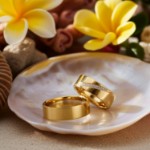 Gifteringer i gult gull 14 kt, 6 mm. GERSTNER - 202730