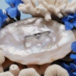 Diamantring i hvitt gull med 0,05 ct W-Si - 546885