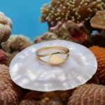 Gullring i 14 kt gult gull - Bur501490