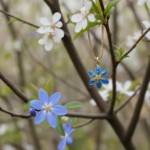 Smykke i forgylt sølv Blåveis. LIV - 860412