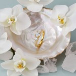 Swarovski Stilla Attract ring Round cut, White, Gold-tone plated - 5723294