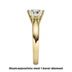 Enstens diamantring Violetta 14 kt gull med 0,30 ct TW-Si.Magic Moments -18003030