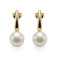 Øredobber i gult gull 14 kt med ferskvannsperler 8 mm - coc003742050