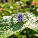 Diamantring i hvitt gull med 0,11 ct TW-Si og tansanitt- coc5070911