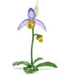Swarovski figurer Florere Lady Slipper Orchid - 5721548