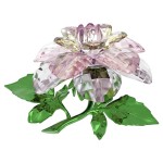 Swarovski figurer Florere Camellia - 5721538