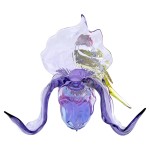 Swarovski figurer Idyllia Gouldian Finch and Orchid - 5675211